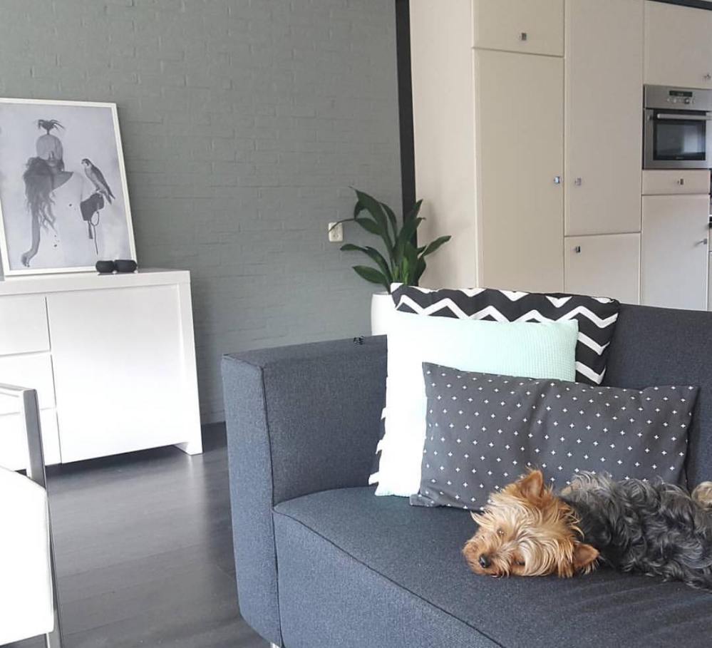 13099099_1680077725586881_909579694_n